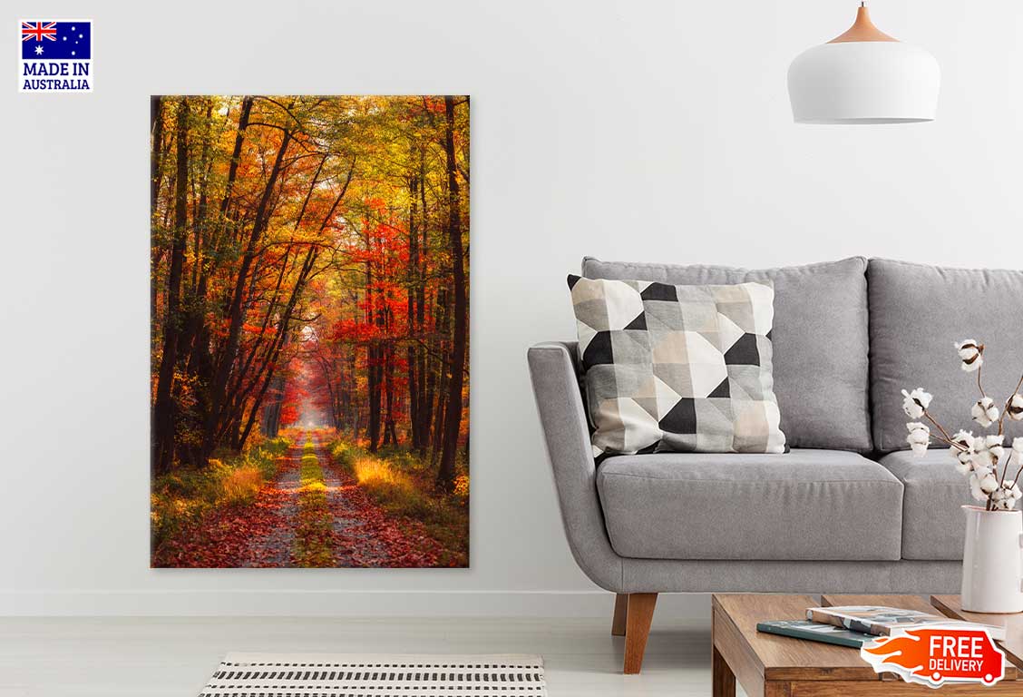 Autumn Forest at Warm Sunlight Photograph Print 100% Australian Made