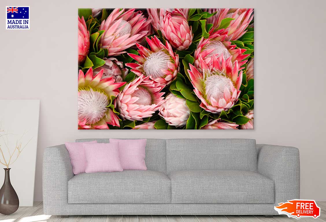 Pink Protea Flowers View Photograph Print 100% Australian Made