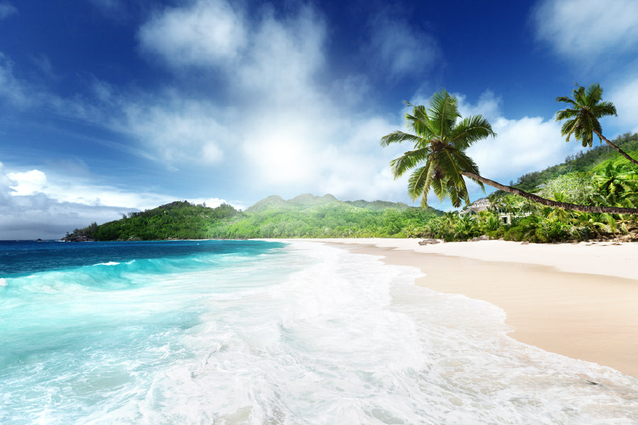 Bella Home Palm Trees at Mahe Beach Print Canvas Ready to hang