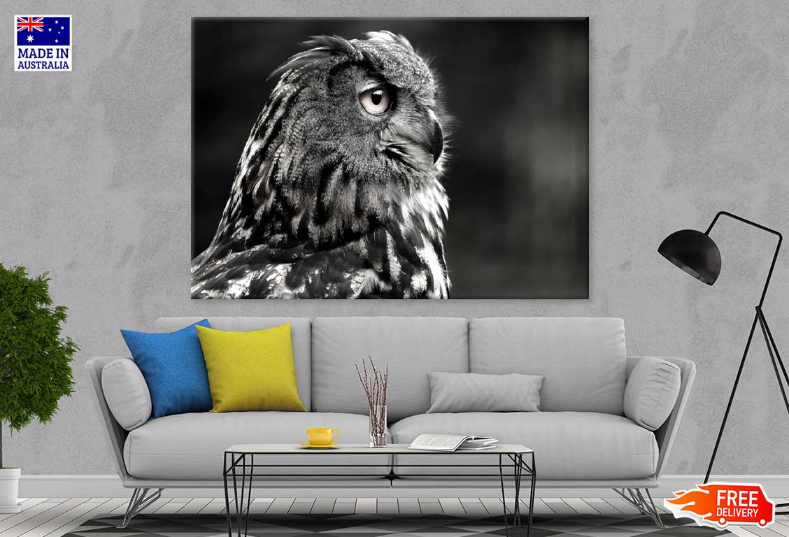 Owl Face Side View B&W Photograph Print 100% Australian Made