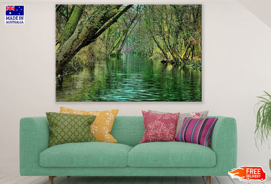 River Covered With Trees Photograph Print 100% Australian Made