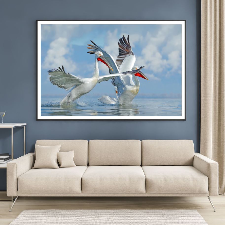Cranes on Water Close Photograph Home Decor Premium Quality Poster Print Choose Your Sizes