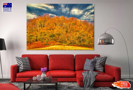 Orange Fall Forest & Cloudy Sky View Photograph Print 100% Australian Made