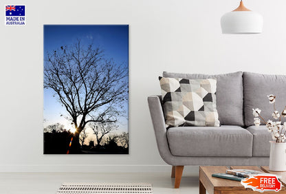 Leafless Tree & Blue Sky Sunset View Photograph Print 100% Australian Made