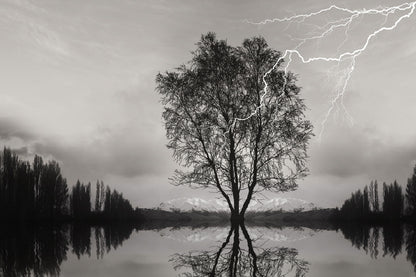 Tree on Lake & Thunderstorm B&W View Photograph Print 100% Australian Made