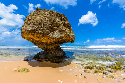 Rock on Bathsheba Beach View Photograph Print 100% Australian Made