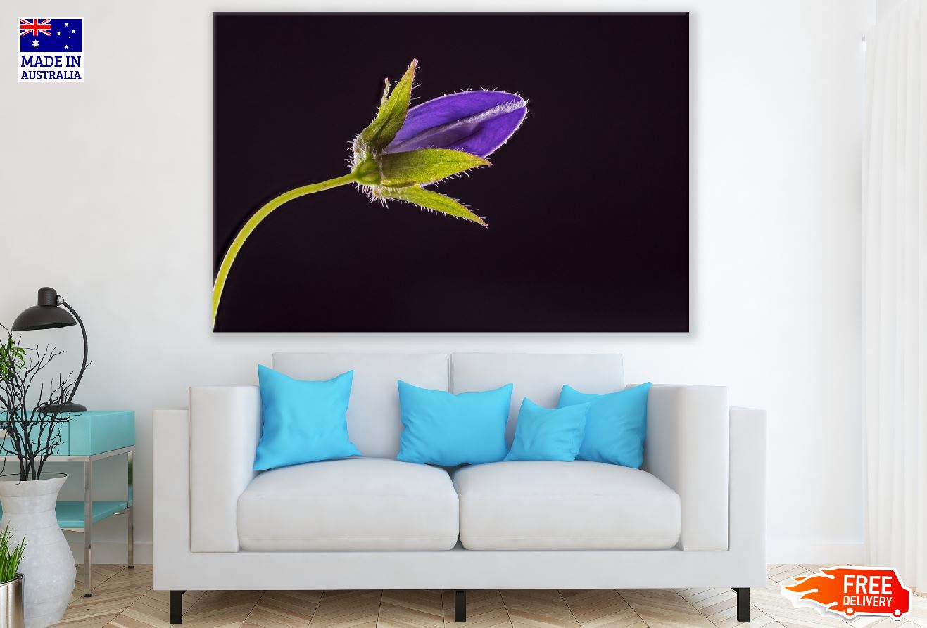 Blue Bell Flower with Leaves Closeup Photograph Print 100% Australian Made