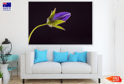 Blue Bell Flower with Leaves Closeup Photograph Print 100% Australian Made