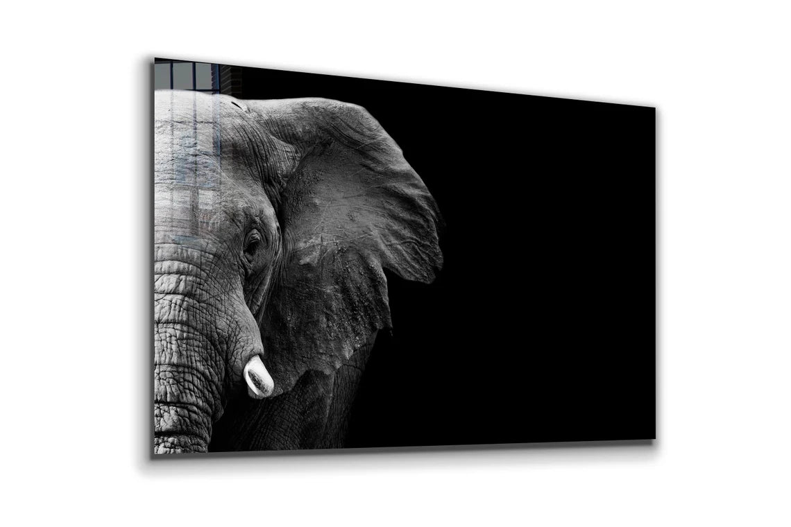 Half Face Elephant B&W Print Tempered Glass Wall Art 100% Made in Australia Ready to Hang