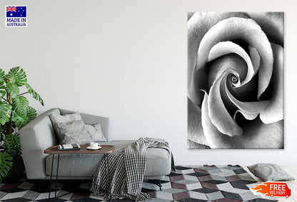 Rose Flower Closeup B&W View Photograph Print 100% Australian Made