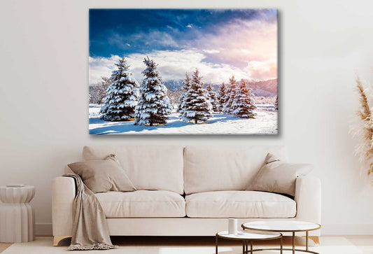 Bella Home Pine Trees Snow Field & Sky View Print Canvas Ready to hang