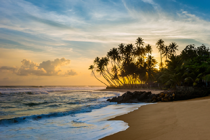 Palm Trees & Sea Sunset View Photograph Print 100% Australian Made