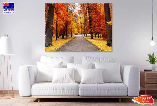 Autumn Landscape Beautiful City Park Photograph Print 100% Australian Made