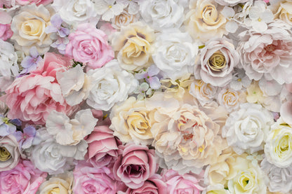 White Pink Roses Closeup View Photograph Home Decor Premium Quality Poster Print Choose Your Sizes