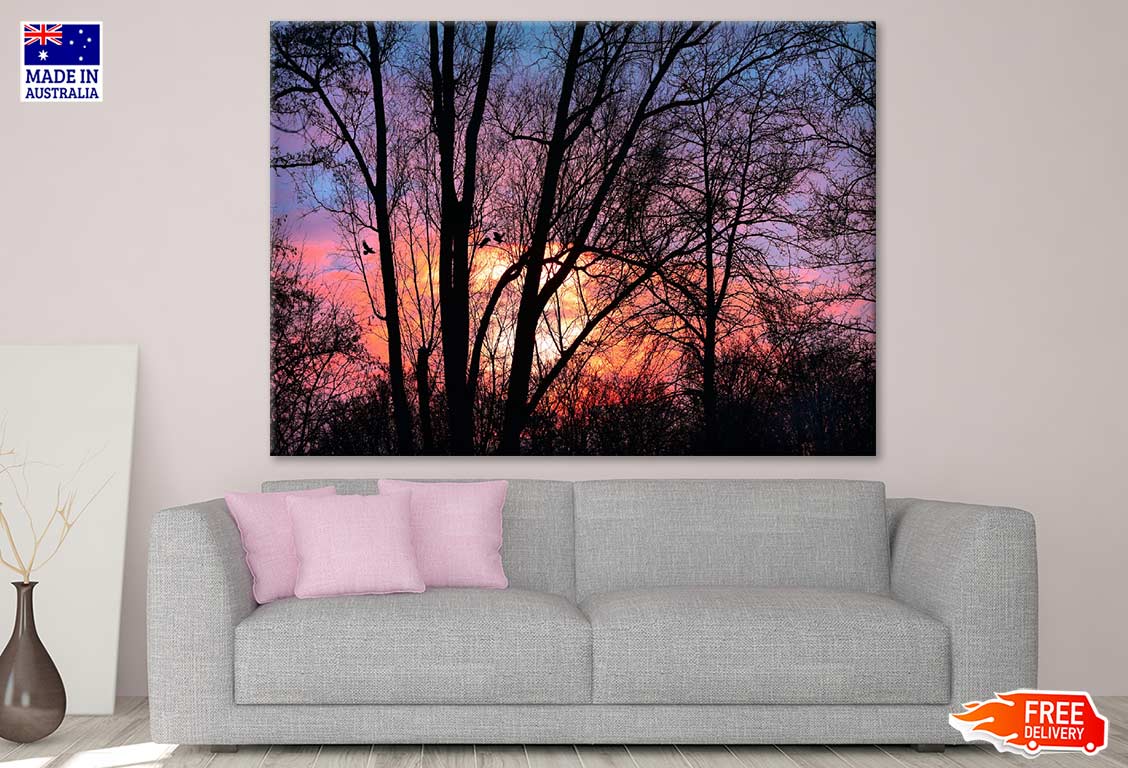 Birds on Tree Sunset Photograph Print 100% Australian Made