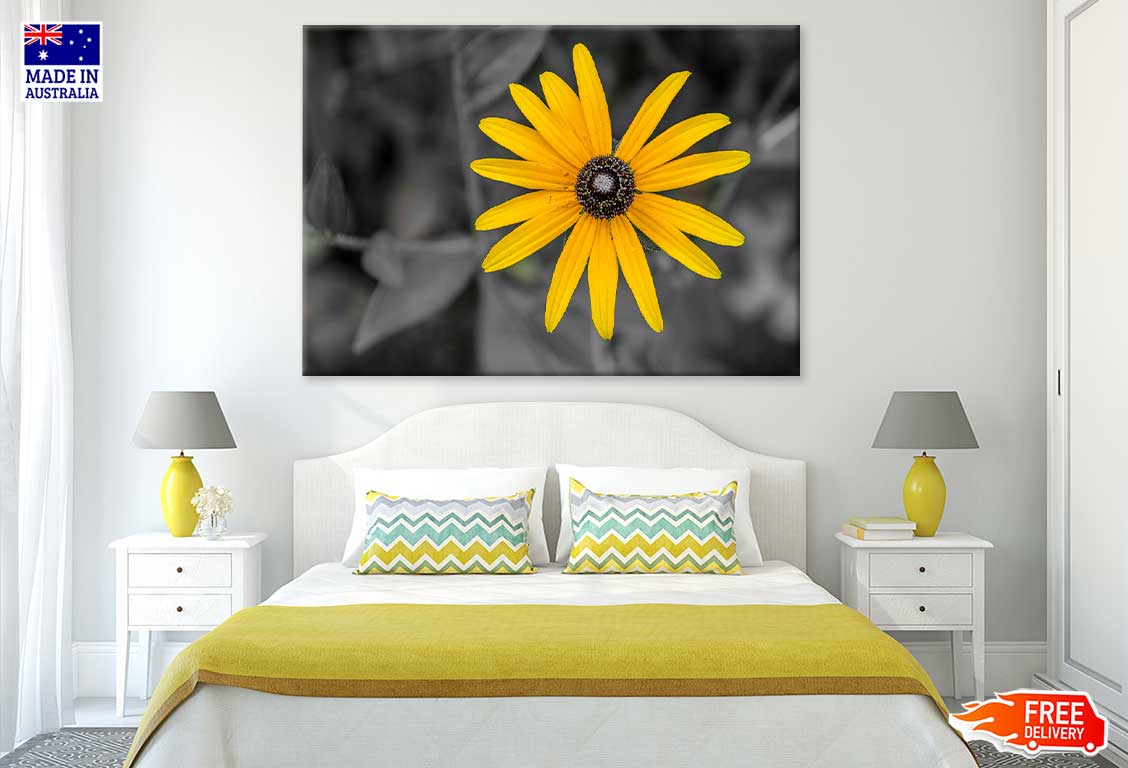 Yellow Daisy Flower B&W View Photograph Print 100% Australian Made