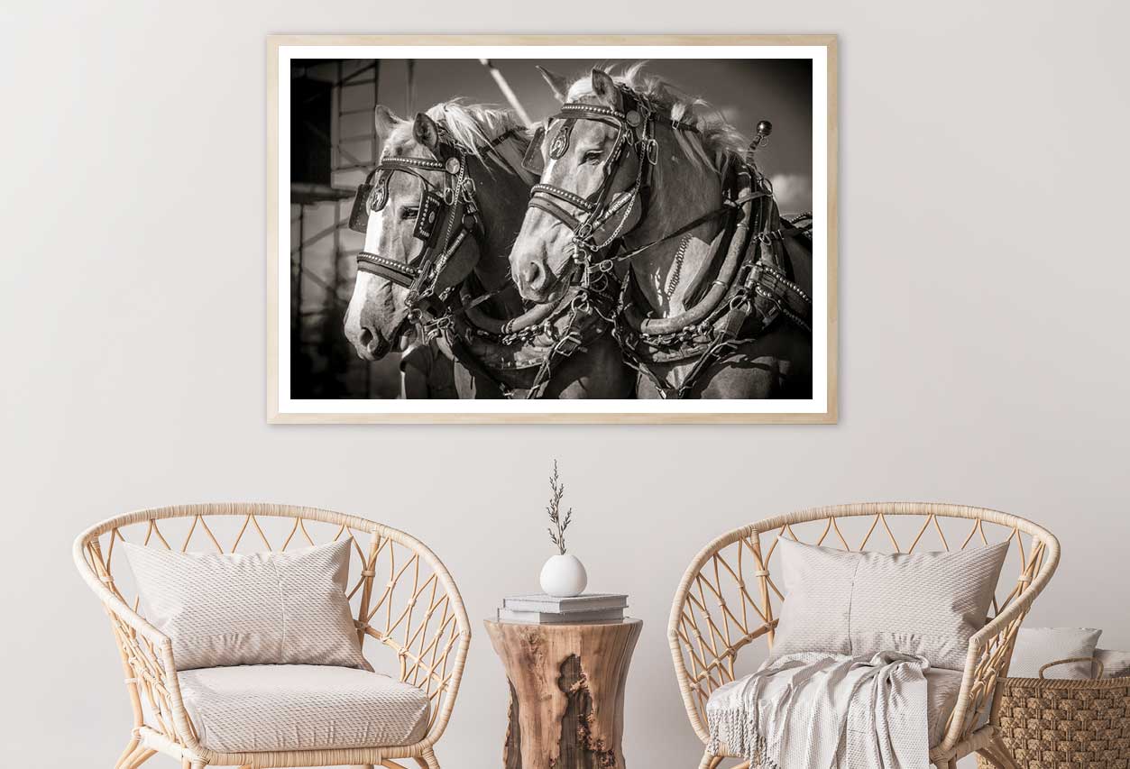 Draft Horses B&W View Photograph Home Decor Premium Quality Poster Print Choose Your Sizes