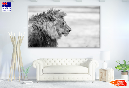 Lion Face B&WPhotograph Print 100% Australian Made