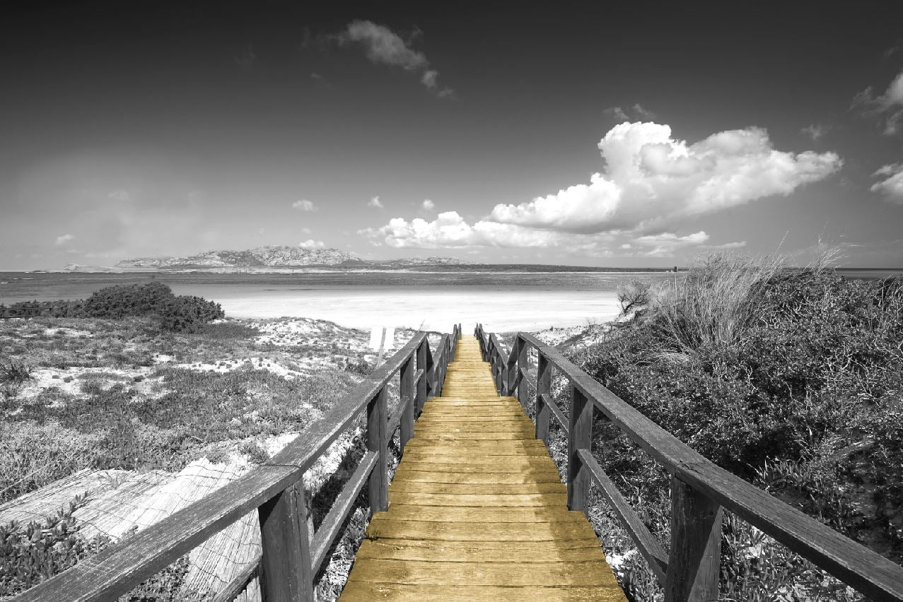 Wooden Path to Beach B&W View Photograph Print 100% Australian Made