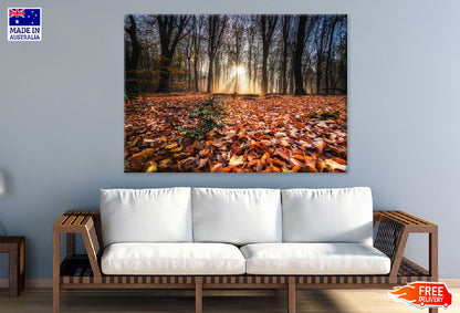 Red Autumn Leaves Forest View Photograph Print 100% Australian Made