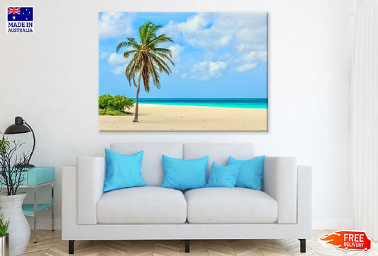 Palm Tree on Sand Eagle Beach Photograph Print 100% Australian Made