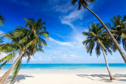 Palm Trees & Beach Island Scenery View Home Decor Premium Quality Poster Print Choose Your Sizes