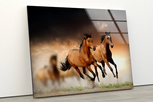 Running Horses Photograph Acrylic Glass Print Tempered Glass Wall Art 100% Made in Australia Ready to Hang