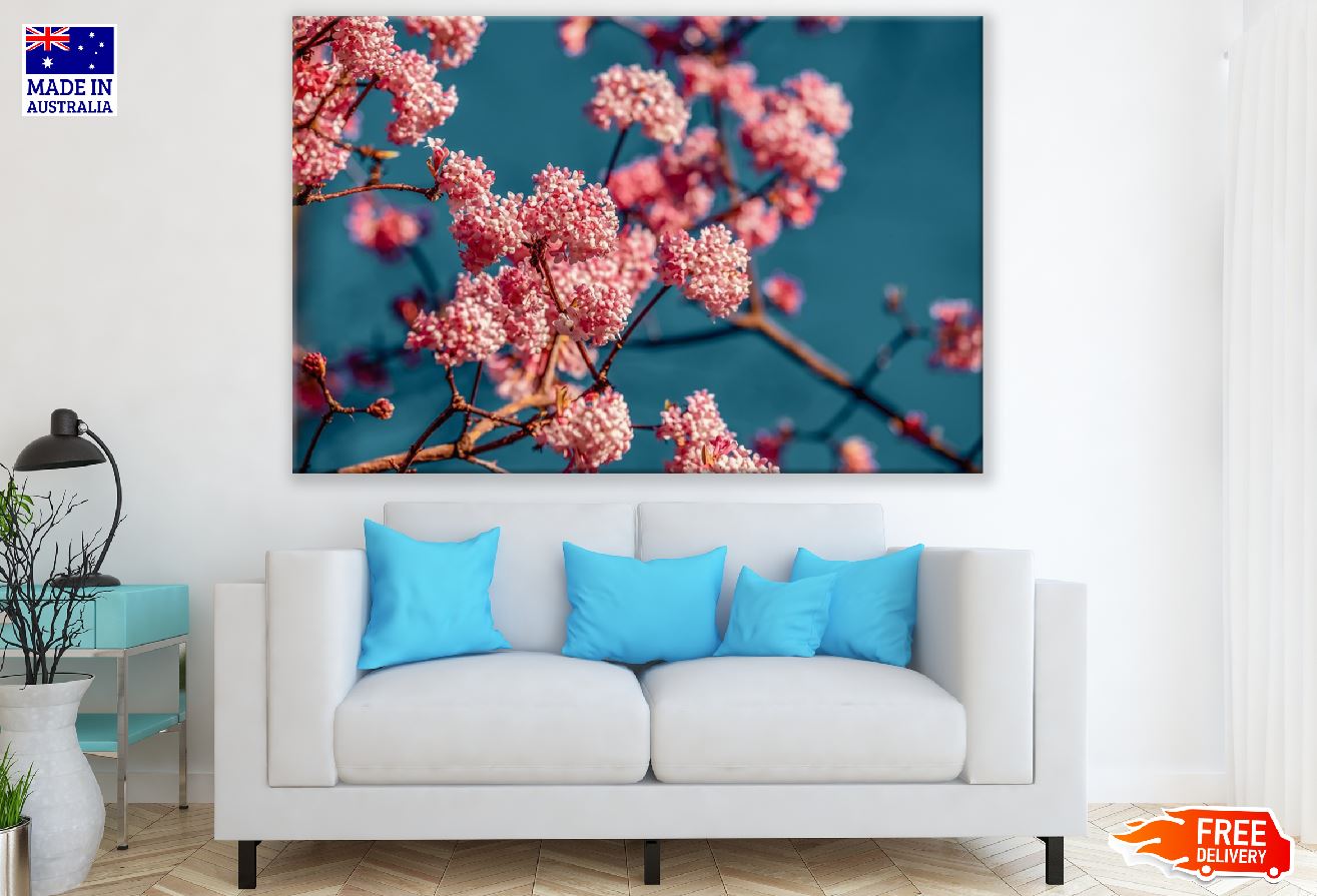 Pink Bush Flowers Photograph Print 100% Australian Made