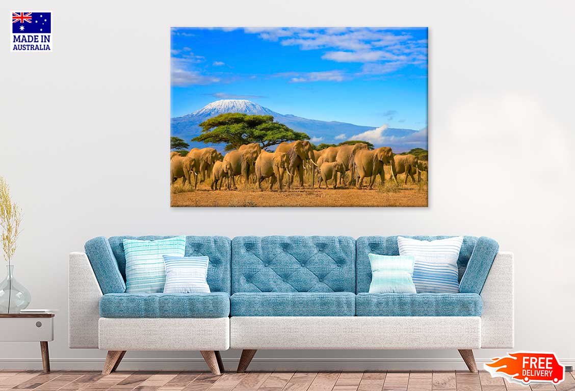 Kilimanjaro Elephants Walking Photograph Print 100% Australian Made