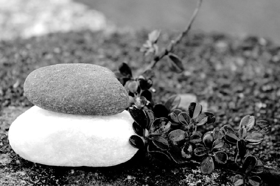 White Stones & Black Flowers B&W View Photograph Home Decor Premium Quality Poster Print Choose Your Sizes