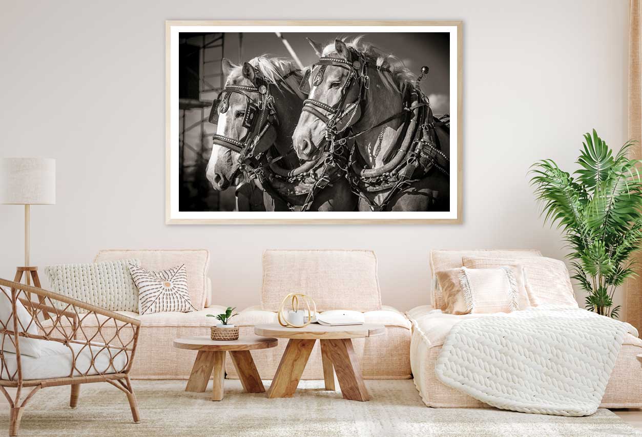 Draft Horses B&W View Photograph Home Decor Premium Quality Poster Print Choose Your Sizes