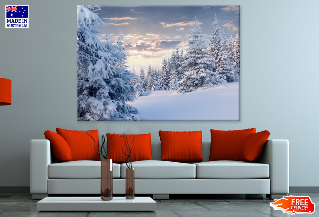 Snow Coverd Trees & Forest Photograph Print 100% Australian Made