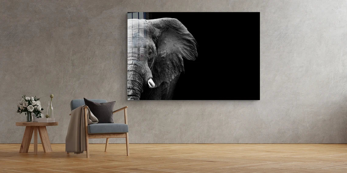 Half Face Elephant B&W Print Tempered Glass Wall Art 100% Made in Australia Ready to Hang