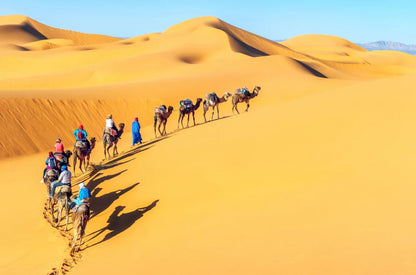 Camels Walking Across Desert View Home Decor Premium Quality Poster Print Choose Your Sizes