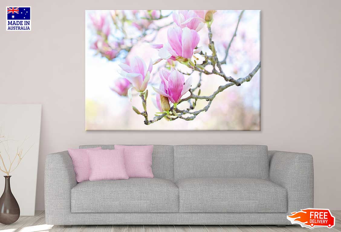 White Pink Magnolia Flowers View Photograph Print 100% Australian Made