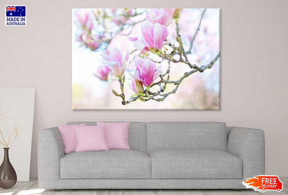 White Pink Magnolia Flowers View Photograph Print 100% Australian Made