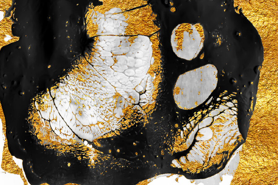 Black & White & Gold Abstract Design Home Decor Premium Quality Poster Print Choose Your Sizes