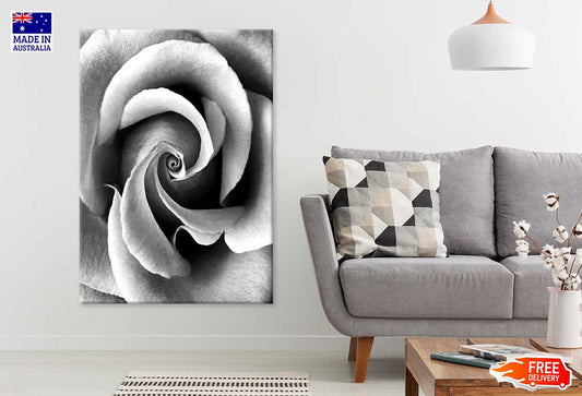 Rose Flower Closeup B&W View Photograph Print 100% Australian Made