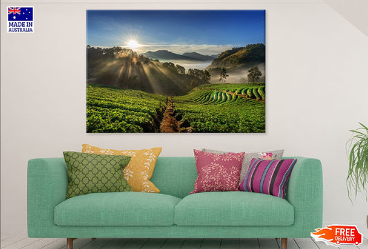 Strawberry Garden Hill Sunrise Scenery Photograph Print 100% Australian Made