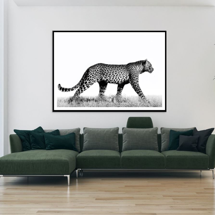 Leopard Walking B&W Photograph Home Decor Premium Quality Poster Print Choose Your Sizes