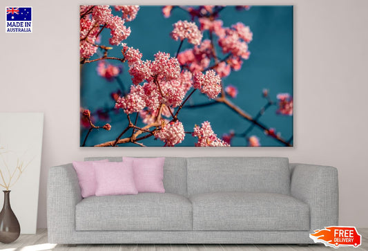 Pink Bush Flowers Photograph Print 100% Australian Made