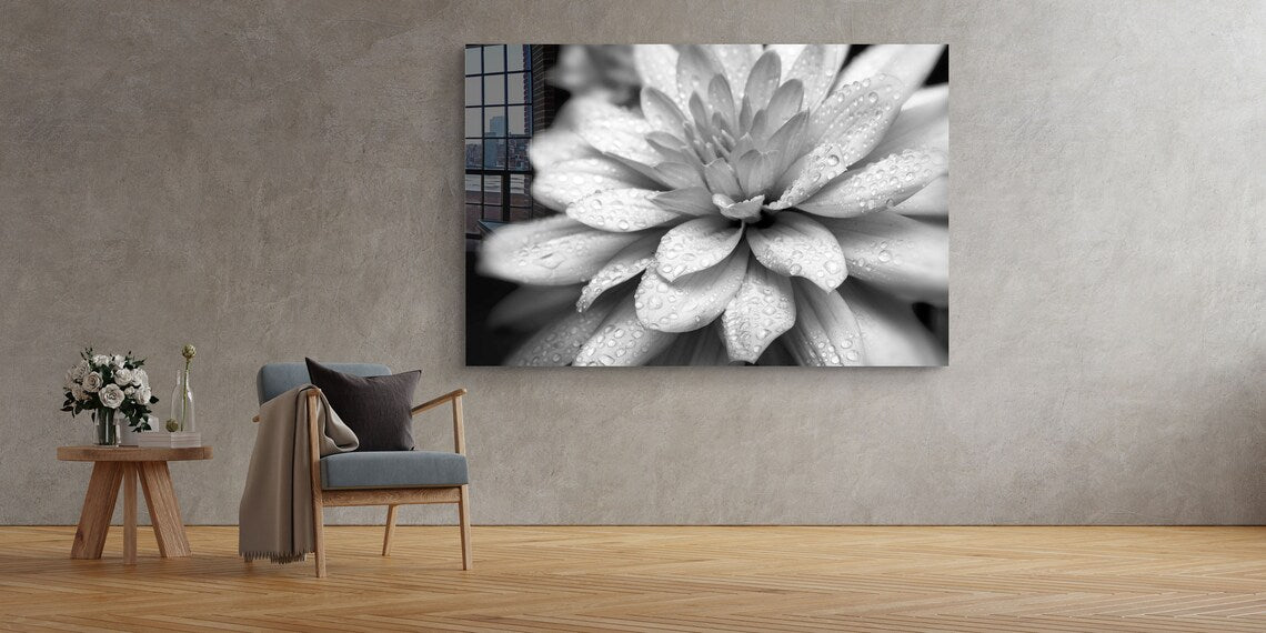 Lotus Flower B&W View Print Tempered Glass Wall Art 100% Made in Australia Ready to Hang