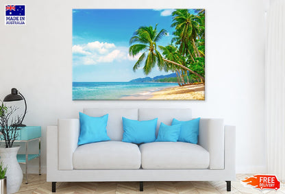 Palm Trees Sandy Tropical Beach View Photograph Print 100% Australian Made