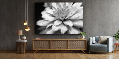 Lotus Flower B&W View Print Tempered Glass Wall Art 100% Made in Australia Ready to Hang