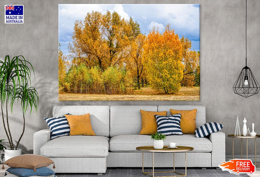 Autumn Forest Photograph Print 100% Australian Made