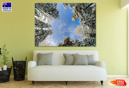 Snowy Trees Low Angle View Photogtaph Print 100% Australian Made