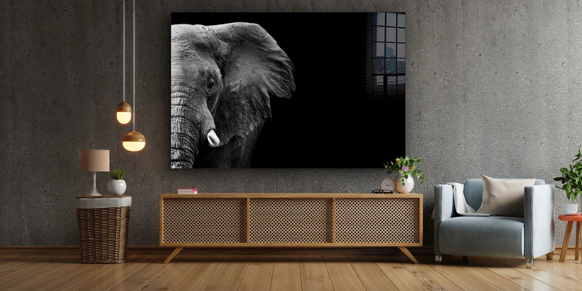 Half Face Elephant B&W Print Tempered Glass Wall Art 100% Made in Australia Ready to Hang