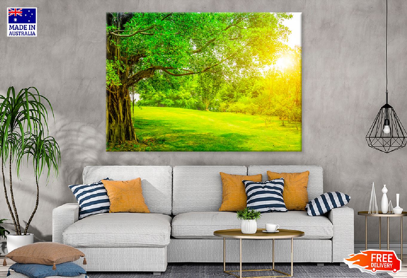 Green Old Tree Garden Sunlight Photograph Print 100% Australian Made