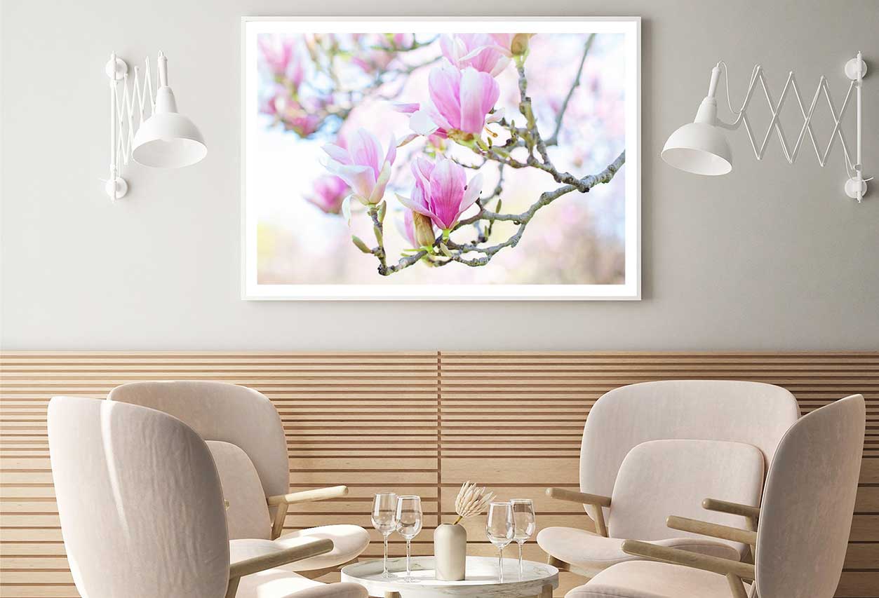 White Pink Magnolia Flowers View Photograph Home Decor Premium Quality Poster Print Choose Your Sizes