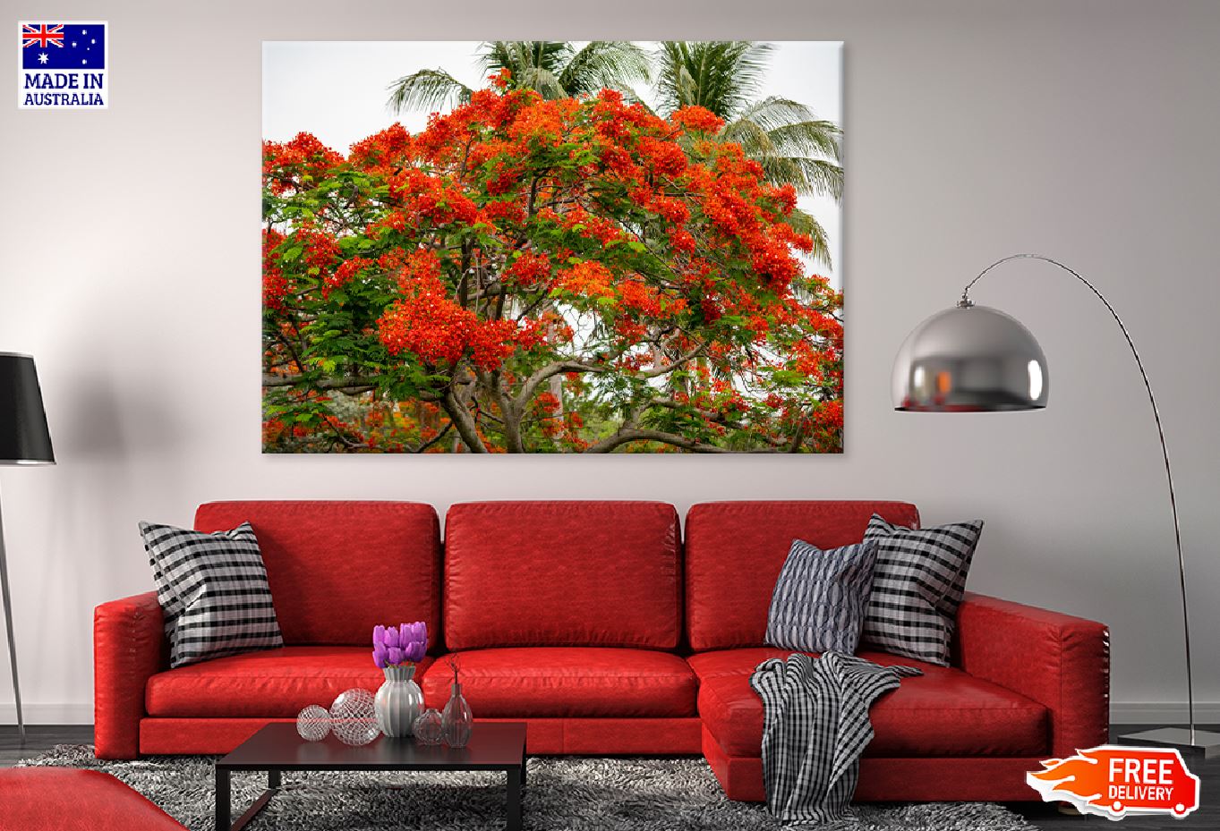 Royal Poinciana Tree View Photograph Print 100% Australian Made